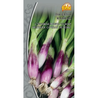 Seed packet of onion variety Kankan