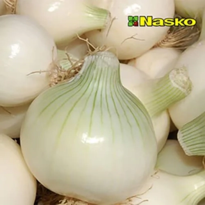 Свежий лук сорта Nasko - Корнет
