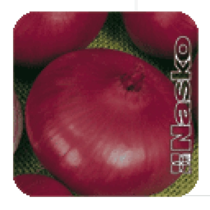 Семена лука Корсар на зеленом фоне