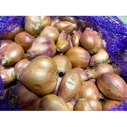 Свіжий цибуля Кущівка місцева в сітчастому мішку - Кущевка місцева