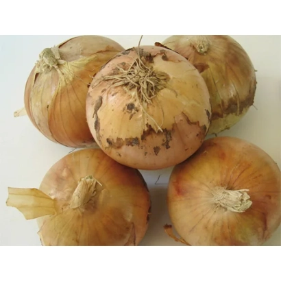 Свіжі цибулини Луїза на білому фоні