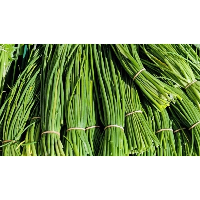 Свежий зеленый лук, упакованный в пучки - ЛЮТЫЙ