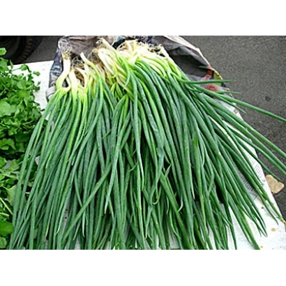 Свіжий зелений цибуля на білій поверхні - МАЙСЬКИЙ