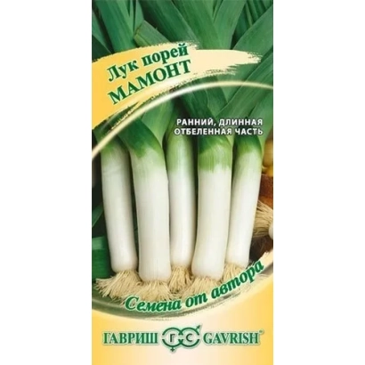 Pack of onion seeds variety Mamont
