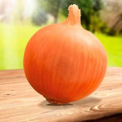 Красная луковица на деревянной поверхности - МАРГО