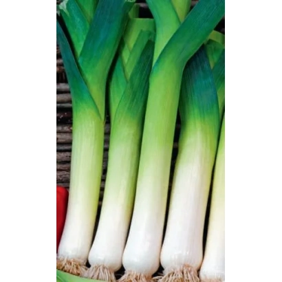 Свежий лук-порей на деревянном фоне - МИЛЛИОНЕР