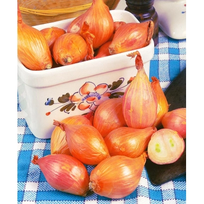 Красные лук-шалот в белой керамической миске на сине-белой клетчатой ткани - Монастырский