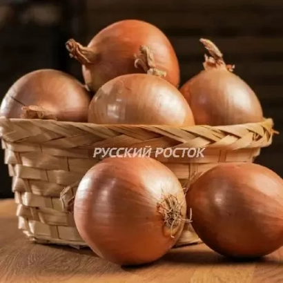 Коричневые луковицы в плетёной корзине с надписью РУССКИЙ РОСТОК - НЕЙШЕН