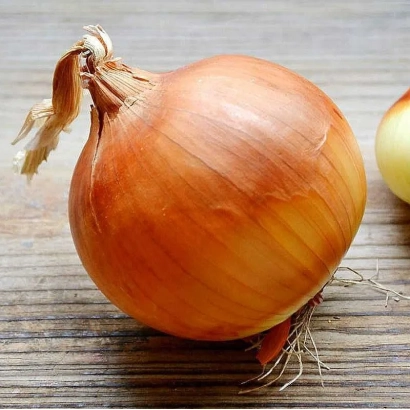 Свежий лук на деревянной поверхности - ОДИН СЕЗОН