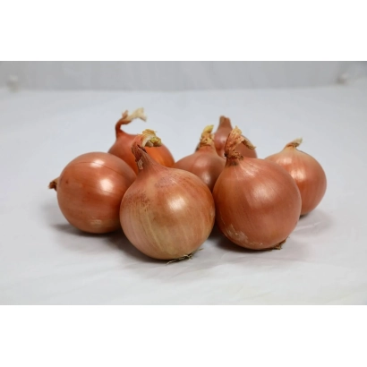 Группа луковиц на белом фоне - Октант