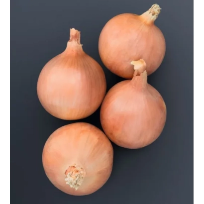 Четыре целые луковицы лука на тёмном фоне - ОНАЙДА