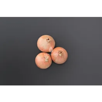 Три цибулі на темному фоні - Онеіда