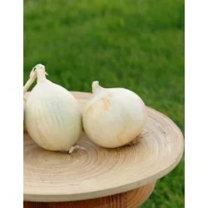 Два целых лука на деревянной подставке на фоне зелёной травы - Оризаба F1