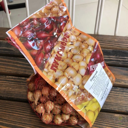 Пакет с луком сорта ОЗЕРСКИЙ на деревянной поверхности - Озёрский