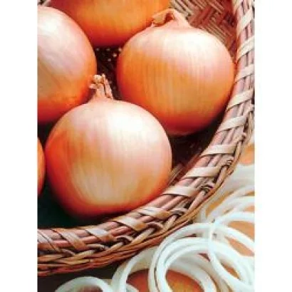 Brown onions in a woven basket - Pinnacle F1