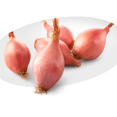 Свежие красные лук на белом фоне - ПОЛАТ