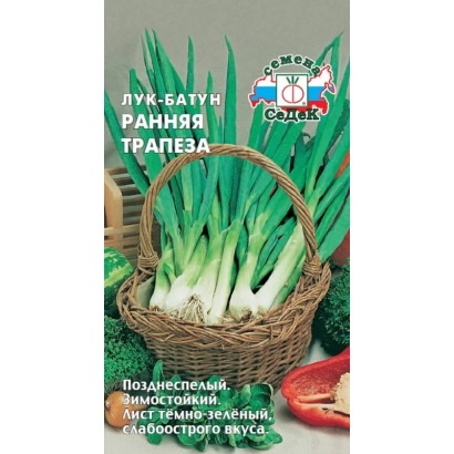 Pack of Early Trapesa onion in a basket