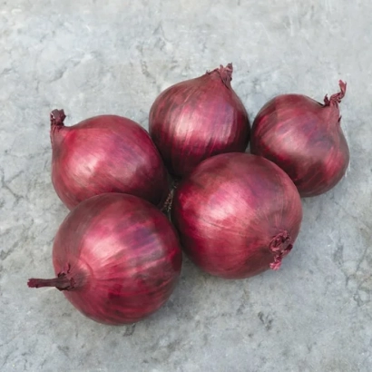 Група червоних цибулин сорту Red Rum F1 на сірому фоні - Ред Рум F1