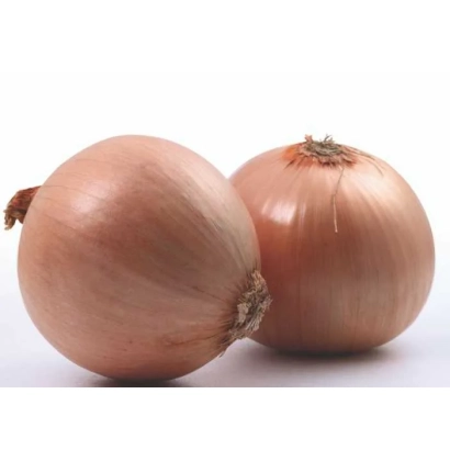 Два цілі цибулі на білому фоні - Ріана