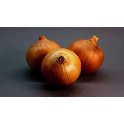 Три целых луковицы на тёмном фоне - РЕЗИСТОР