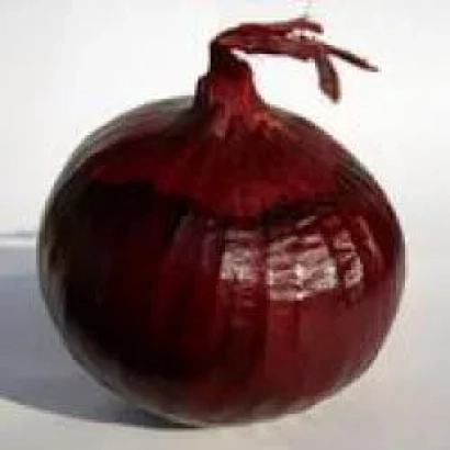 Красная луковица на белом фоне - Робин