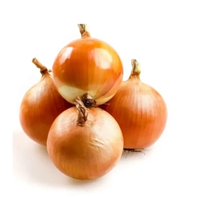 Свіжі цибулини сорту Сакраменто на білому фоні