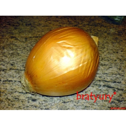 Yellow onion bulb on stone with text bratyuny' - SHAMBALA