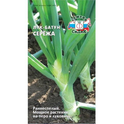 Seed packet of onion variety SEREJA - Serezha