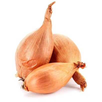 Три луковицы сорта Northern Blues на белом фоне - СЕВЕРНЫЙ БЛЮЗ