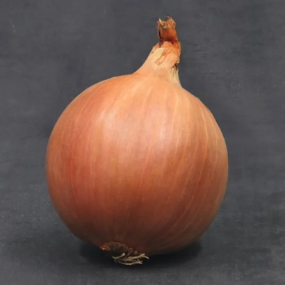 Свежий лук сорта Шерман F1 на темном фоне