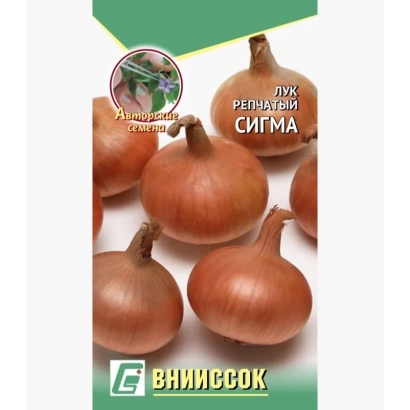 Пакет насіння цибулі Сігма від ВНІІССОК