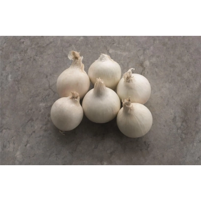 Головки лука на сером фоне - СНОУПАК