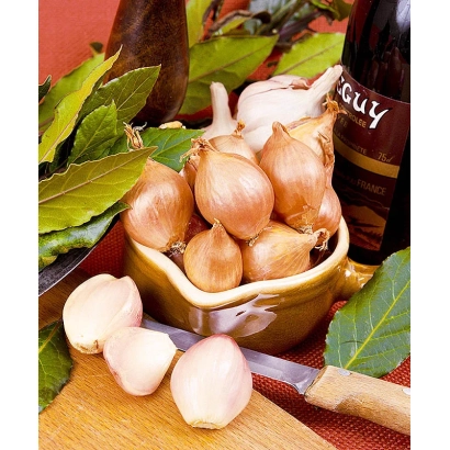 Горсть лука в миске с зеленью и ножом на деревянной доске - Спринт