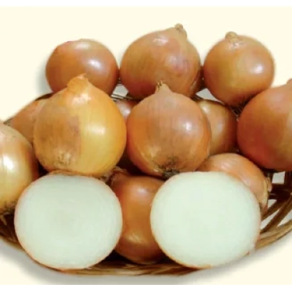 Свежие луковицы сорта СТАРТЕР F1 в корзине