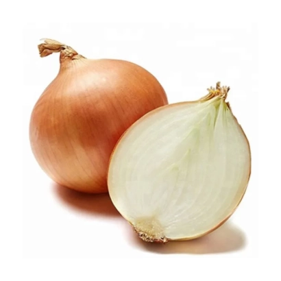 Две луковицы ШТУР БС 20 на белом фоне