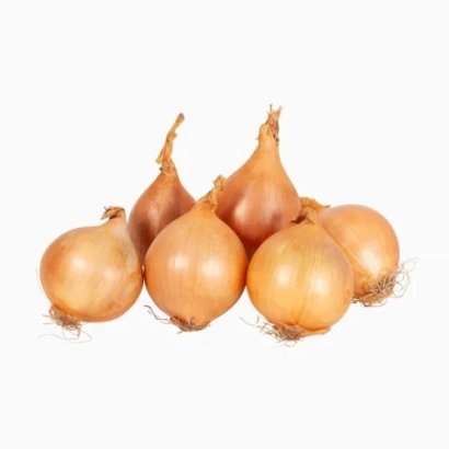 Группа целых луковиц лука Штуттгартер-Стенфилд на белом фоне