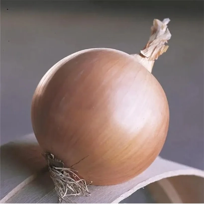 Свіжа цибуля сорту Thunderstone на дерев'яній підставці - Тандерстоун