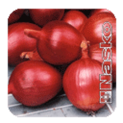 Красные луковицы сорта Тимур на деревянной поверхности.