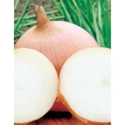 Свежий лук с нарезанными дольками на фоне зелени - Тиога F1