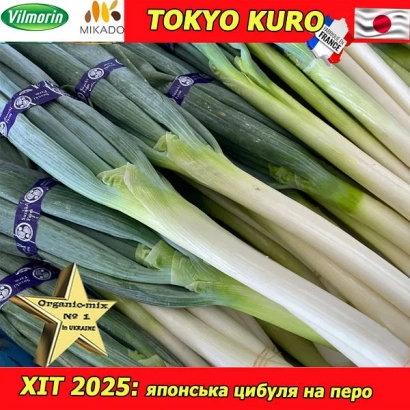 Свіжий цибуля Токио Куро з яскравою упаковкою та логотипом Vilmorin - Токіо Куро