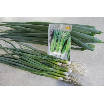 Свежий зеленый лук с упаковкой на фоне - Тристан