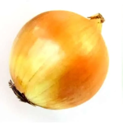 Свежий лук желтого сорта на белом фоне - Юниор