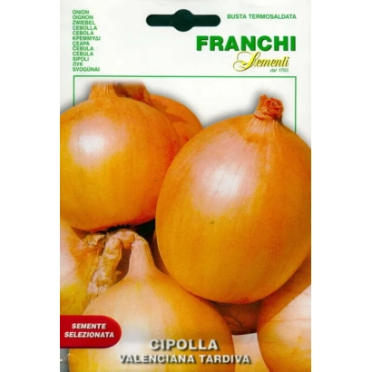 Семена лука Валенсиана на упаковке Franchi