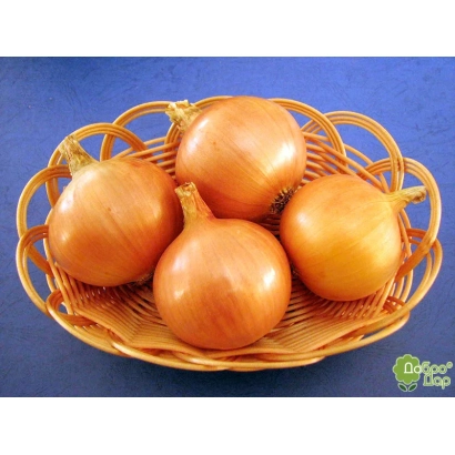 Четыре луковицы сорта Варяг в плетёной корзине на синем фоне