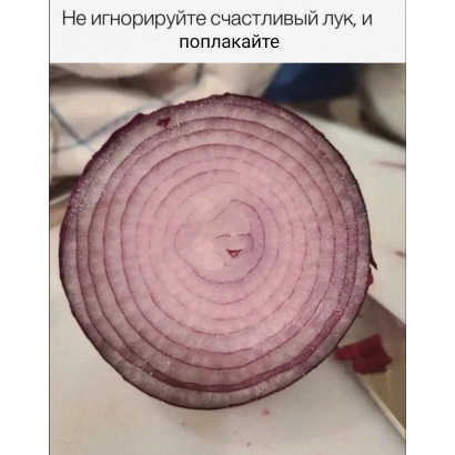 Срез красного лука с надписью «Не игнорируйте счастливый лук, и поплачьте» - ВЕЗУНЧИК