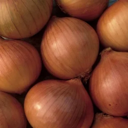 Красные луковицы на фоне - Викинг