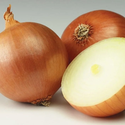 Fresh onion on white background - VISION
