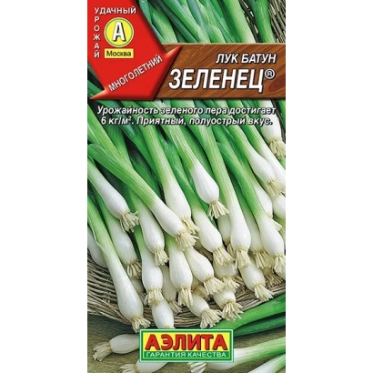 Pack of green onions Zelenez by Aelita