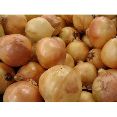 Свежие желтые луковицы на фоне - ЗОЛОТИСТЫЙ ЧИПОЛЛИНО