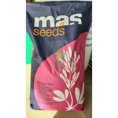 Пакет семян мас-сида - ГАЛАКСИ МАКС